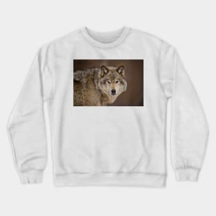 Gray Wolf Crewneck Sweatshirt